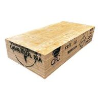 Plywood CD 2.4mx1.2mx17mm non-Structural (55 pack)